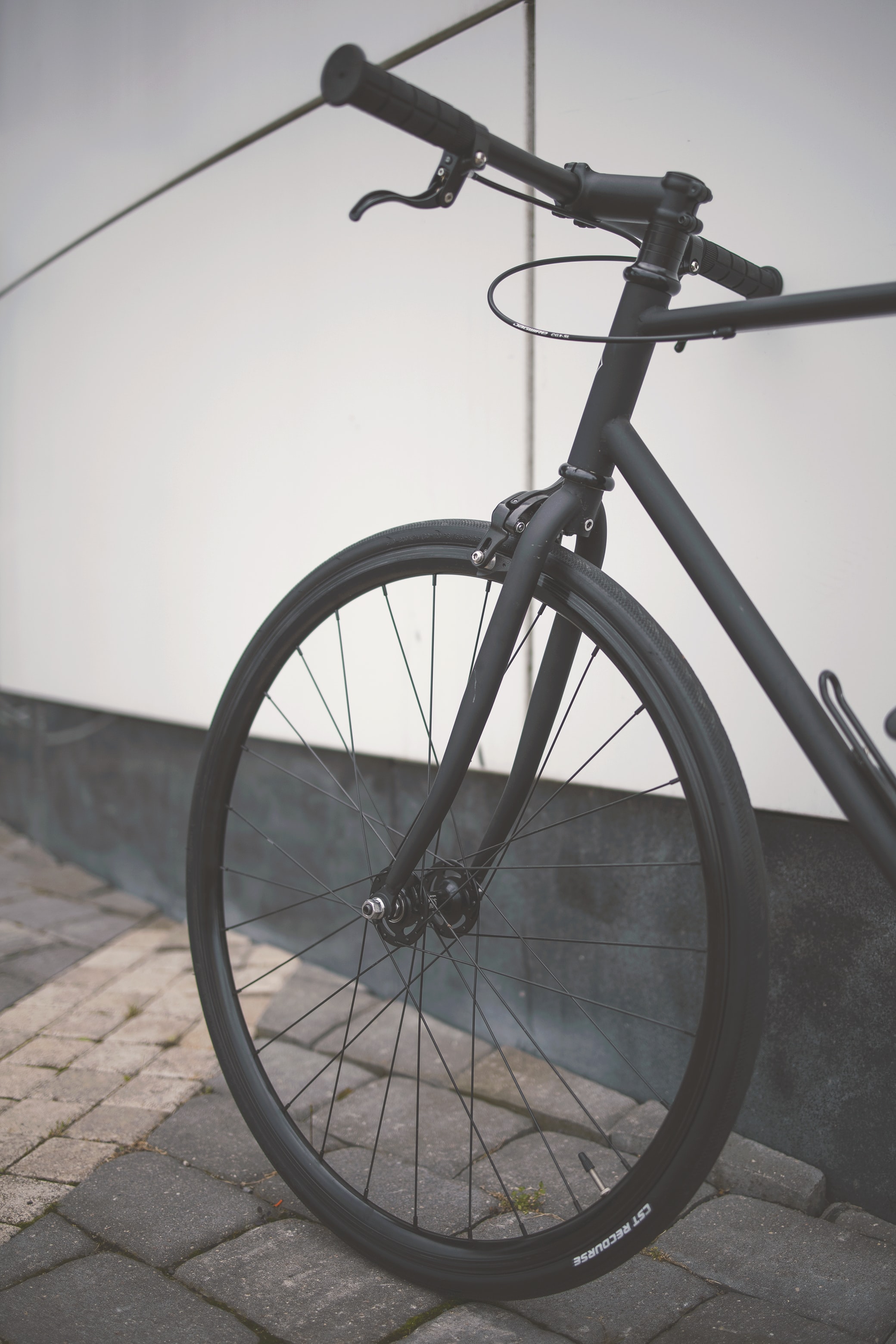 igor-voronetski-eQNYiDZaqv8-unsplash